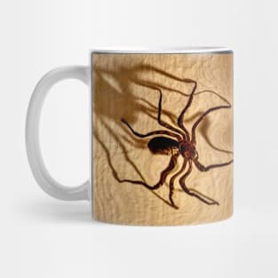 A Monster Huntsman Spider on the Hunt! Mug